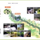 해인사 소리길 이미지