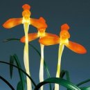 선주고을 이미지