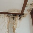 화신로-12 이미지