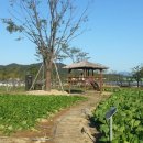 대가야농촌문화체험특구 캠핑장 이미지