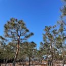 금반농장 이미지