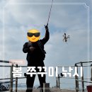 봄자리골천 | 충남 태안 여행 코스 3 서해 구매항 배낚시 봄쭈꾸미 철 맞이 낚시 후기 (쉽지 않다!)