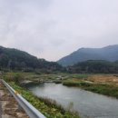 로얄파크텔 이미지