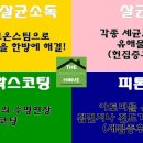 크린정보통신 이미지