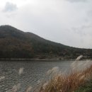 이화산등산로 Daum카페