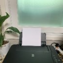 230 이미지