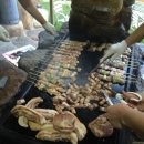 창녕화왕산 그린펜션 이미지