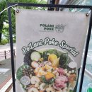 폴라니포케 정관점 이미지