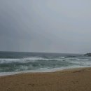 그린바다 이미지