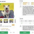 포인 이미지