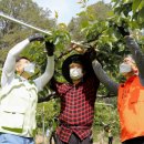 두나무컴퍼니 이미지