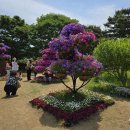 이서초등학교 이미지