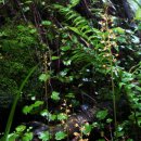 한라전설(주) 이미지