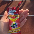 10 | 거제 섬꽃 마라톤 대회 10km 후기
