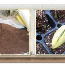 빛가람농장 이미지