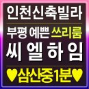 아인스하임 이미지