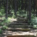 문수산 산림욕장 이미지