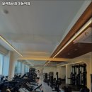 블랙맘바짐 이미지