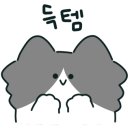 엘티와이(LTY)