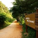 황토길 - 광산구 | 황토길