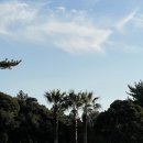 대한목장 이미지