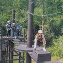 더불어숲 이미지