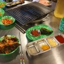 해피애견타운 분당판교점 이미지