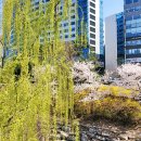 동안교 앞 이미지