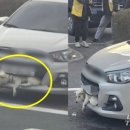 범퍼119