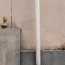 중앙로67번길 이미지