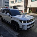 신형렌트카 이미지