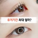 더류 | 속눈썹 펌 유지기간이 짧은 진짜 이유, 모질별 완벽 정리 (자가진단 + 관리법 포함)