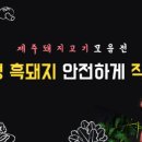 ㈜제주원렌트카 이미지