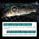 우리실내낚시터 이미지