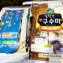 법인바농