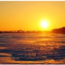 챠우챠우탕수육 이미지