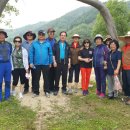 서울 경인지역 동기 야유회 - 가평 연꽃 마을 캠핑장 이미지