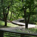 용인자연휴양림 이미지