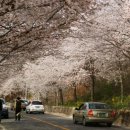 문척면사무소 이미지