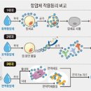 표적항암 표적항암제 항암제란 항암제 종류 표적항암 장단점 이미지