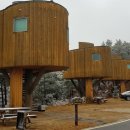 향로산자연휴양림 이미지