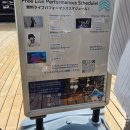 [세계시민특강] 과학으로 보는 우주, 세계 그리고 나 | 오사카 엑스포 최고 인기 파빌리온 미국관! 남들보다 50% 덜 기다린 내부 관람 후기