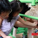 유쾌한축산 이미지