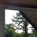 통나무파크 이미지