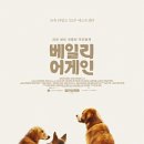 어게인생 이미지