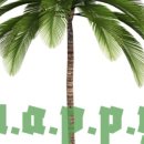 해피비해피펜션 이미지