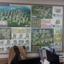 금두꺼비공인중개사사무소 이미지