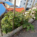 발리모텔 이미지