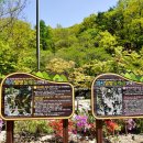 향기원 풍차 이미지