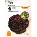 솔마